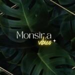 Monstera | Rare plants | Green Vibes